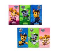 144 pacchetti fazzoletti naso Paw Patrol Kartika 4 veli disegni assortiti