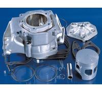 146.0800 KIT CILINDRO GRUPPO TERMICO POLINI MOTORE ROTAX 122/123 D.60 in allu...