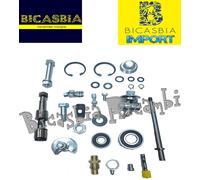 14649 - IMPORT KIT REVISIONE MOZZO FORCELLA 11 PRINCIPI 2,7 VESPA 150 SPRINT GL