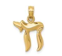 14k Giallo Oro Catenina Lunga Vita Portafortuna Cabala Bar Mitzvah Ciondolo