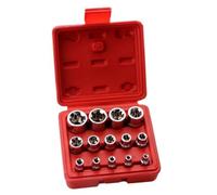 14Pcs E4-E24 Star Socket Set Testa Chiave Auto Esterno Star Socket Set Femmina con Custodia Strumento Professionale