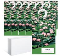 14pcs Profuma Armadio Vestiti, Profumatori Armadio e Cassetti, Profumatore Auto, Profumo Aromi Sacchetti Lavanda Profumati per Armadio Cassetti Armadietti, Scarpiera Deodorante Armadio (lotus)