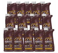 2x1 Litro Mannol Energia Formula JP 5W-30 olio motore Api Sn Plus Ilsac GF-5 GM