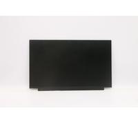 LENOVO - Thor Display 15.6'' Hd Tn 220nit 45%cg Non-brac (5d10w35431) - SPEDIZIONE GRATUITA
