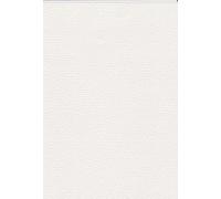 15 fogli in cartoncino testurizzato, formato A4, 210 x 297 mm, 120 g, carta goffrata per inviti, biglietti di auguri, diplomi, artigianato e progetti creativi (bolle)