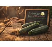 15 Grines à semer - Le Grenier d'Abondance - COURGETTE Black Beauty - Cucurbita Pepo