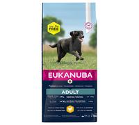 15 kg + 3 kg gratis! 18 kg Eukanuba Overfill - Adult Large Breed Pollo