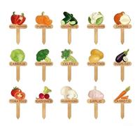 15 pennarelli in legno a forma di T per piante da giardino con temi dei cartoni animati e nomi stampati per una chiara identificazione delle piante (C)