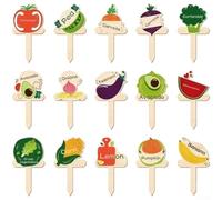 15 pennarelli in legno a forma di T per piante da giardino con temi dei cartoni animati e nomi stampati per una chiara identificazione delle piante (A)