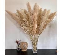 15 pezzi 100 cm di grande erba di pampa, bouquet di fiori secchi naturali e soffici erba di Pampa XXL, decorazione per la casa bohémien, decorazione da parete, tavolo, matrimonio, camera da letto