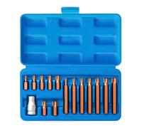 15-Piece Tamper Proof Security Star Bit Set with Magnetic S2 Steel Sockets