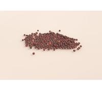 150 graines à semer - Le Grenier d'Abondance - NAVET Jaune boule d'or - Rapum