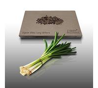 150 graines à semer - Le Grenier d'Abondance - OIGNON Blanc Long Ishikura - Allium ceppo