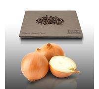 150 graines à semer - Le Grenier d'Abondance - OIGNON Jaune Cénol - Allium ceppo