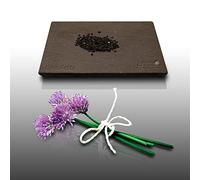 150 graines Aromatiques à semer - Le Grenier d'Abondance - CIBOULETTE - Allium schoenoprasum