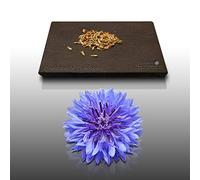 150 graines Fleurs à semer - Le Grenier d'Abondance - CENTAUREE Barbeau - Centaurea