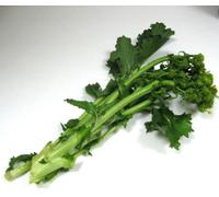 150 grains of CIMA DI RAPA (Brassica Rapa Rapa) RAPINI H806 BROCCOLI RAAB SEEDS : Package Contains Seeds