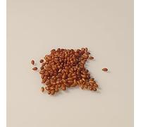 150 Grines di Fleurs à semer - Le Grenier d'Abondance - VIOLETTE - Viola Cornuta