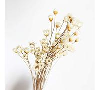 150 mini bouquet di margherite e camomilla, fiori secchi naturali, brasiliani, piccole stelle, margherite, fiori secchi decorativi, per matrimoni, fai da te, decorazioni per la casa (bianco)
