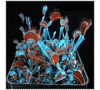 150 pcs Potted Insectivorous Seed Clip Dionaea muscipula Giant Venus Fly Trap for Home Garden: 15: Package Contains Seeds