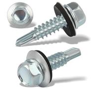 150 pcs Viti Autofilettanti per Metallo 4,8 X 19 mm Viti Autoperforanti Viti Autoforanti Cappellotti per Lamiere Grecate Viti Esagonali Con Rondella di Tenuta Zincata in Acciaio Inox (Argento)