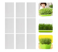 150 pezzi di carta germinale professionale di carta germogliante vegetale