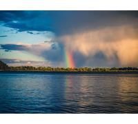 1500 Pezzi di Puzzle per Il Regalo di Giocattoli Educativi per Adolescenti - Alberi del fiume arcobaleno 87x57cm