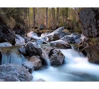 1500 Pezzi di Puzzle per Il Regalo di Giocattoli Educativi per Adolescenti - Foreste di fiume rocce 87x57cm