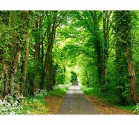 1500 Pezzi di Puzzle per Il Regalo di Giocattoli Educativi per Adolescenti - foreste sentiero parco 87x57cm