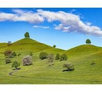 1500 Pezzi di Puzzle per Il Regalo di Giocattoli Educativi per Adolescenti - Sentiero alberi collina 87x57cm