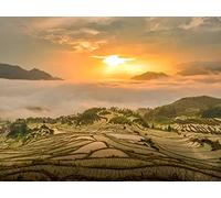1500 Pezzi Jigsaw Puzzle for Adults & for Kids Age 14 Years Up - Tramonto sulla nebbia della collina 87x57cm