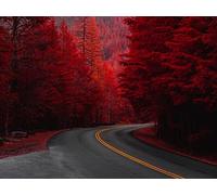 1500 Pezzi, Puzzle Adulti,per Adulti e Bambini dai 14 Anni - Alberi di svolta stradale 87x57cm