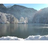 1500 Pezzi, Puzzle Adulti,per Adulti e Bambini dai 14 Anni - Montagne alberi brina 87x57cm