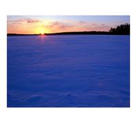 1500 Pezzi Puzzle Difficile, Sfida per Adulti-Campo,neve,sera 87x57cm