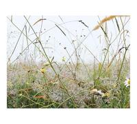 1500 Pezzi Puzzle,Idea Regalo per lei o lui-Erba,Campo,Camomilla,Fiori,Rugiada,Natura 87x57cm