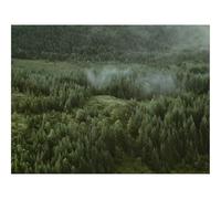 1500 Pezzi Puzzle,Idea Regalo per lei o lui-foreste,conifere,vista aerea 87x57cm