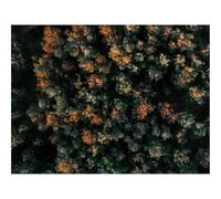 1500 Pezzi Puzzle,Idea Regalo per lei o lui-foreste,vista aerea,alberi 87x57cm