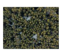 1500 Pezzi Puzzle,Idea Regalo per lei o lui-foreste,vista aerea,alberi 87x57cm