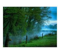 1500 Pezzi Puzzle,Idea Regalo per lei o lui-Recinzione,alberi,filo 87x57cm