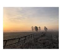 1500 Pezzi Puzzle per Gioco Familiare-Campo,nebbia,alba 87x57cm