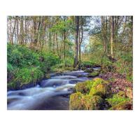 1500 Pezzi Puzzle per Gioco Familiare-foreste,fiume,rocce 87x57cm