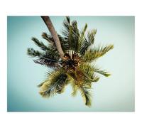 1500 Pezzi Puzzle per Gioco Familiare-Palma,Albero,Foglie,Vista dal basso,Tropico 87x57cm