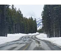 1500 Pezzi Puzzle,Puzzle per Adulti - Alberi innevati sulla strada 87x57cm