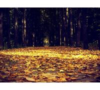 1500 Pezzi Puzzle,Puzzle per Gioco Familiare - Foglie autunno viale 87x57cm