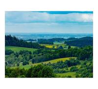 1500 Pezzi Puzzle,Regalo per Amore e Amico-Campi,alberi,erba 87x57cm