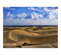1500 Pezzi Puzzle,Regalo per Amore e Amico-Deserto,tracce,sabbia 87x57cm