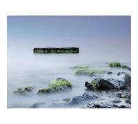 1500 Pezzi Puzzle,Regalo per Amore e Amico-Pietre,Muschio,Rocce,Superficie liscia,Silenzio,Nebbia 87x57cm