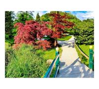 1500 Pezzi Puzzle,Regalo per Amore e Amico-Sentiero,Bivio,Giardino,Alberi 87x57cm