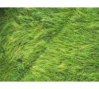 1500 Piece Jigsaw Puzzles for Kids and Adults Age 14 Years Up - Vista aerea del campo d'erba 87x57cm