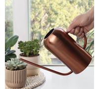 1500ML Annaffiatoio in Acciaio Inossidabile Pot Indoor House Plants con Manico